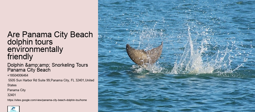 Are Panama City Beach dolphin tours environmentally friendly