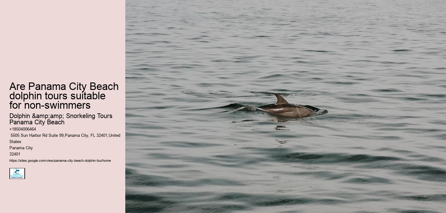 Are Panama City Beach dolphin tours suitable for non-swimmers