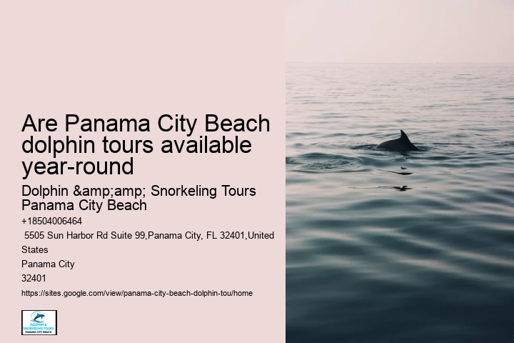 Are Panama City Beach dolphin tours available year-round