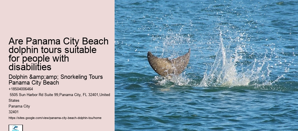 Are Panama City Beach dolphin tours suitable for people with disabilities