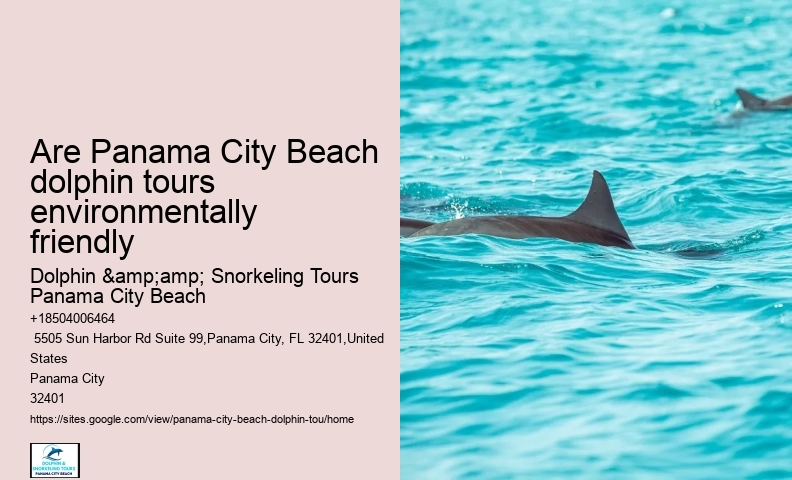 Panama City Beach dolphin exploration voyages