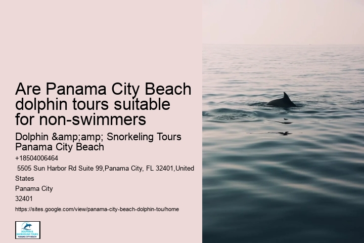 Dolphin Boat Tours Panama City Beach