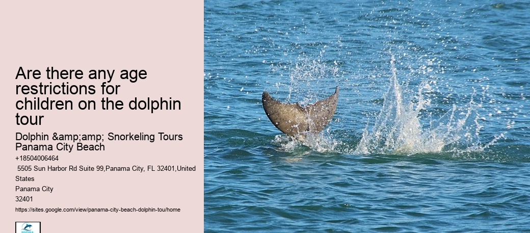 Are there any age restrictions for children on the dolphin tour