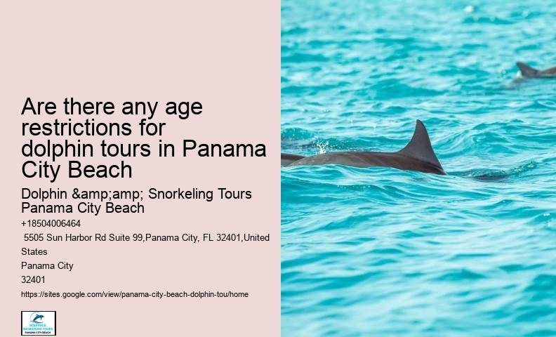 Dolphin sightseeing adventures in Panama City Beach