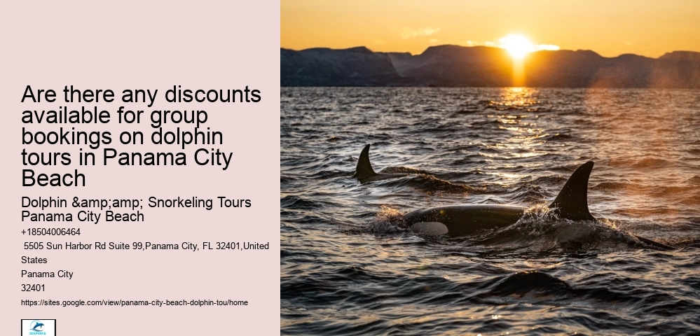 Are there any discounts available for group bookings on dolphin tours in Panama City Beach