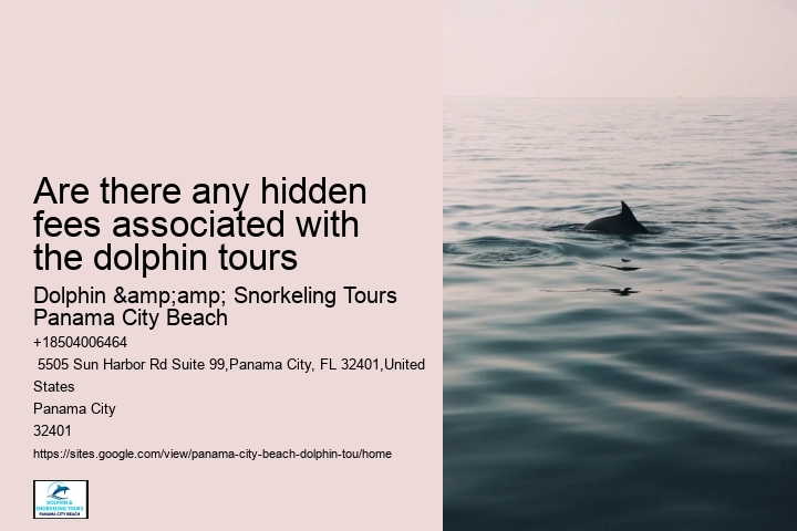 Are Panama City Beach dolphin tours wheelchair accessible