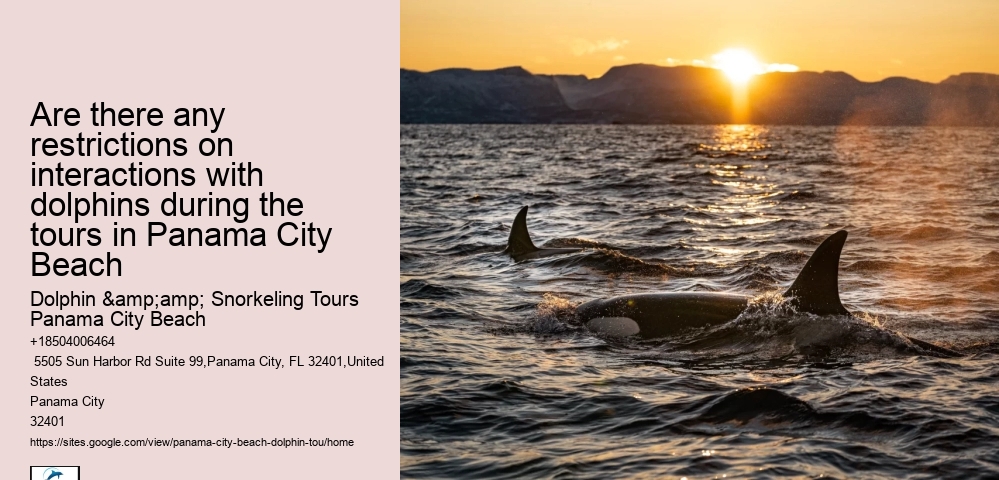 Are there any restrictions on interactions with dolphins during the tours in Panama City Beach