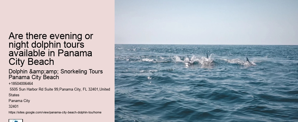 Are there evening or night dolphin tours available in Panama City Beach