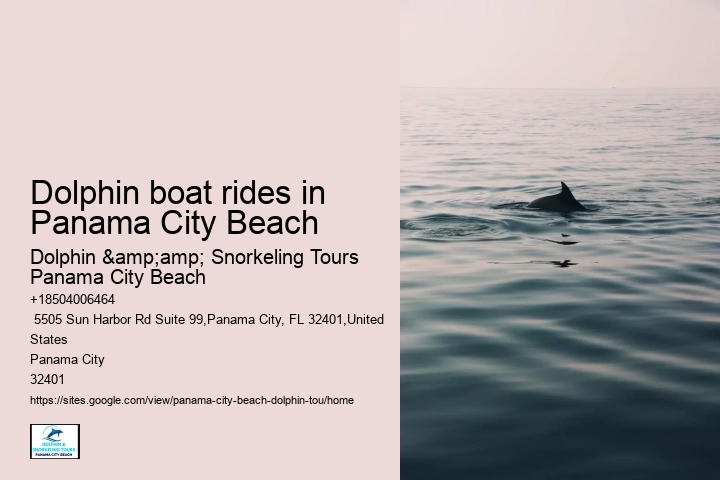 Dolphin boat rides in Panama City Beach