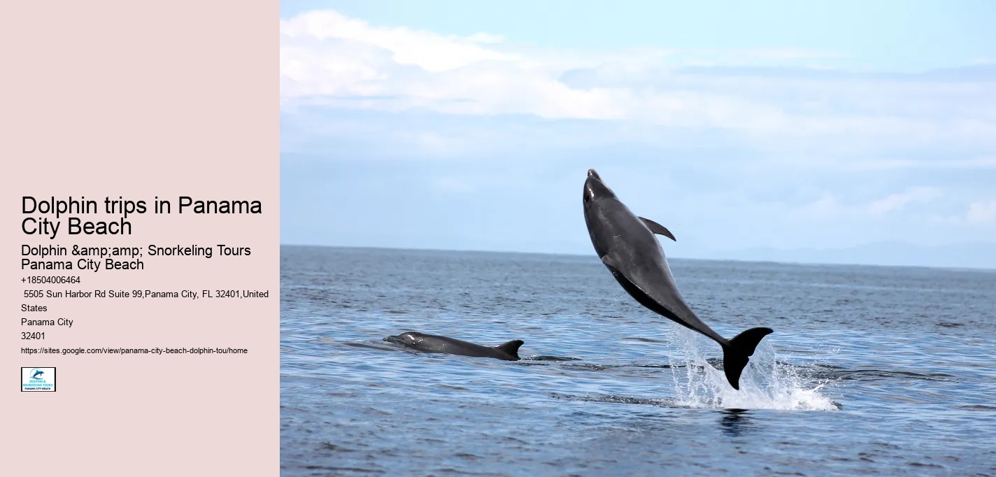 Panama City Beach wildlife tours including dolphins