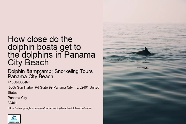 How long is the typical dolphin tour in Panama City Beach