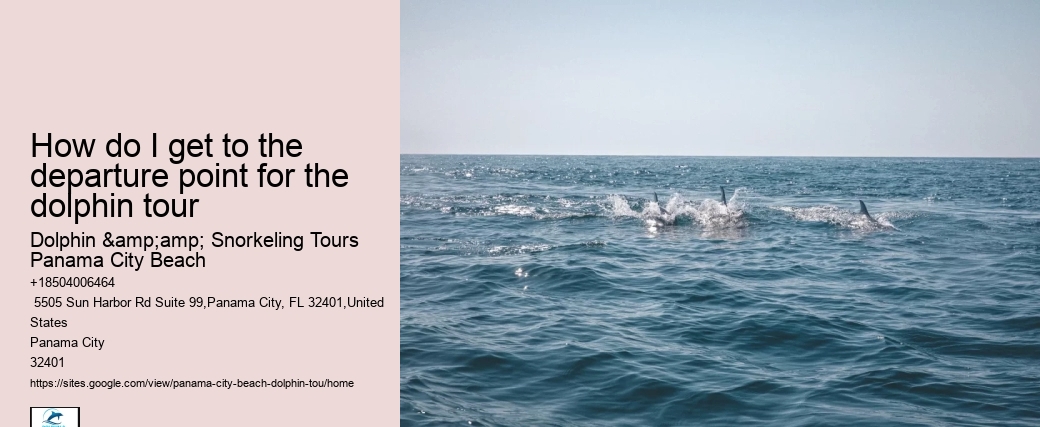 Dolphin Safari Tours PCB