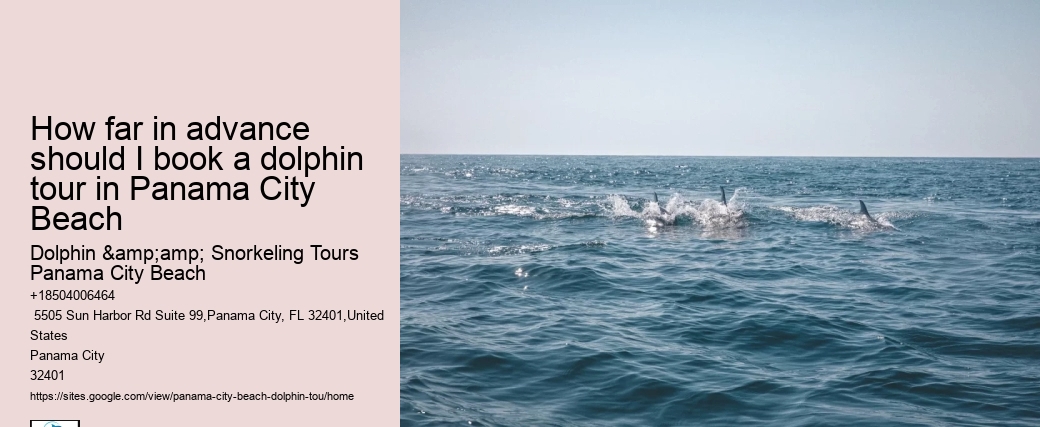 Are there evening or night dolphin tours available in Panama City Beach