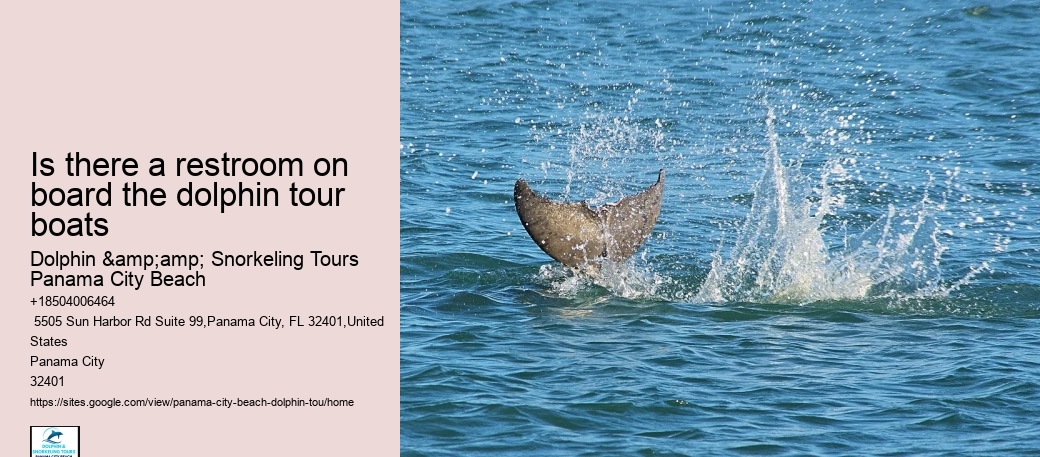 Is there a restroom on board the dolphin tour boats