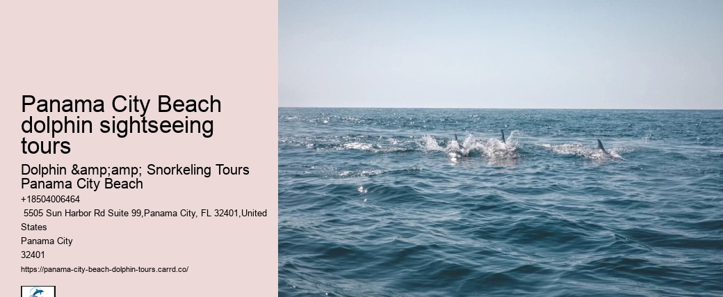 Panama City Beach dolphin sightseeing tours