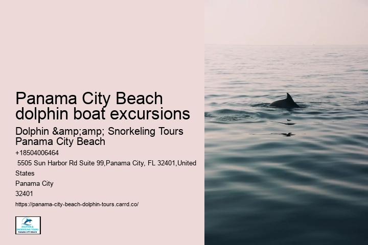 Panama City Beach dolphin boat excursions