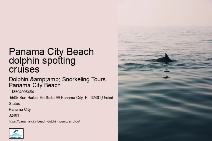 Panama City Beach dolphin spotting cruises