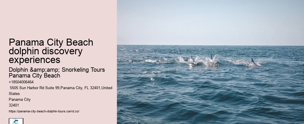 Panama City Beach dolphin discovery experiences