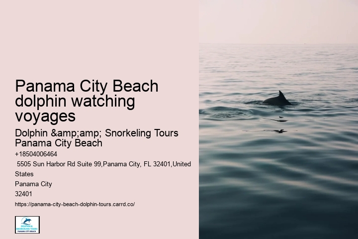 Panama City Beach dolphin watching voyages