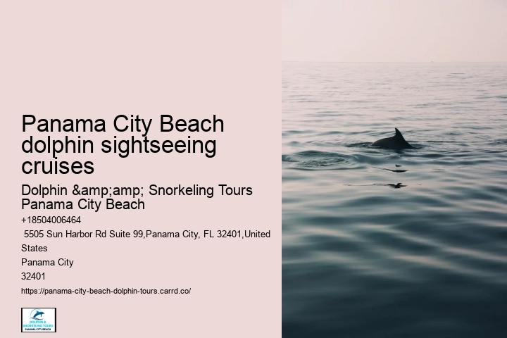 Panama City Beach dolphin sightseeing cruises