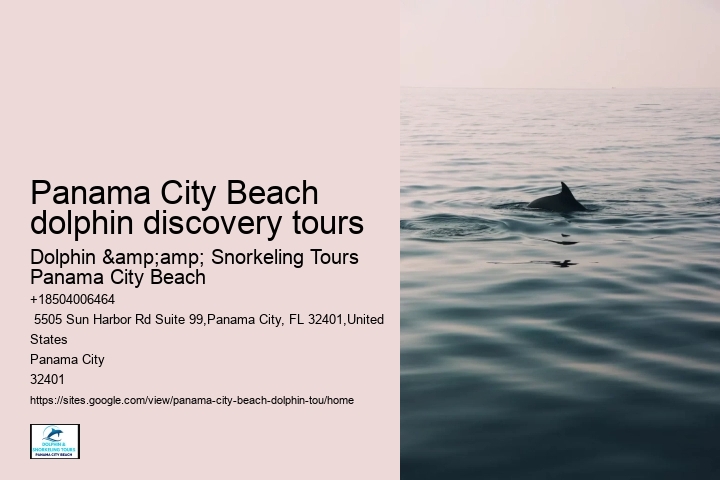 Panama City Beach dolphin discovery tours