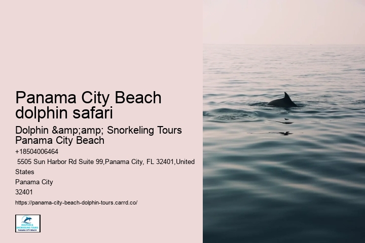 Panama City Beach dolphin safari