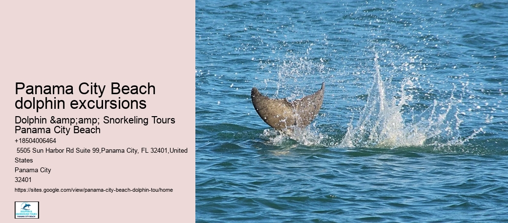 Panama City Beach dolphin excursions