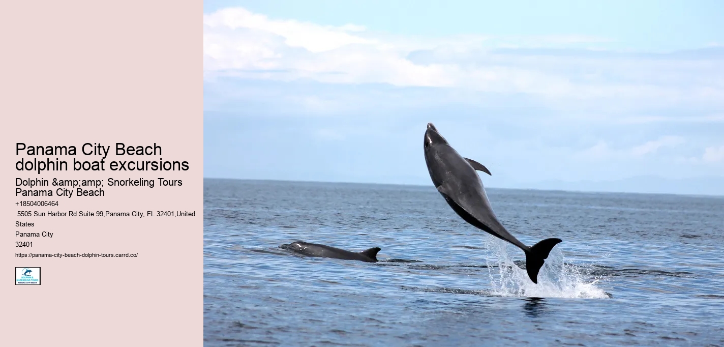 Can I request a specific time for my dolphin tour