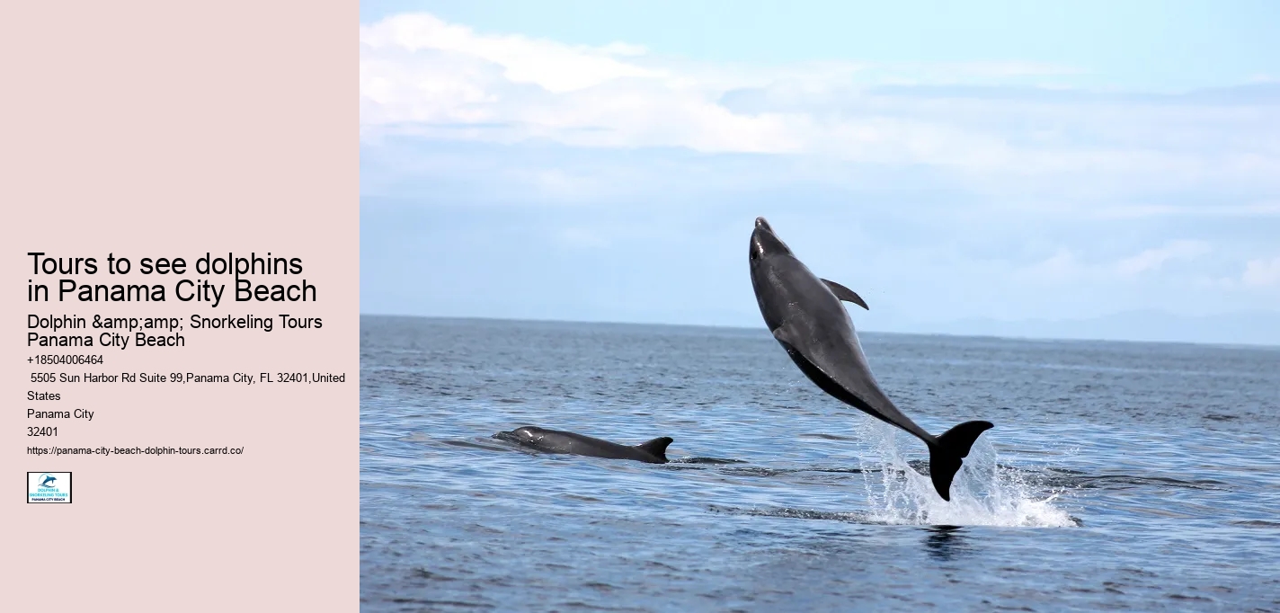 Panama City Beach Florida Boat Tours