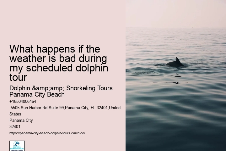 Panama City Beach dolphin excursion trips