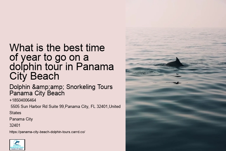 What is the best time of year to go on a dolphin tour in Panama City Beach