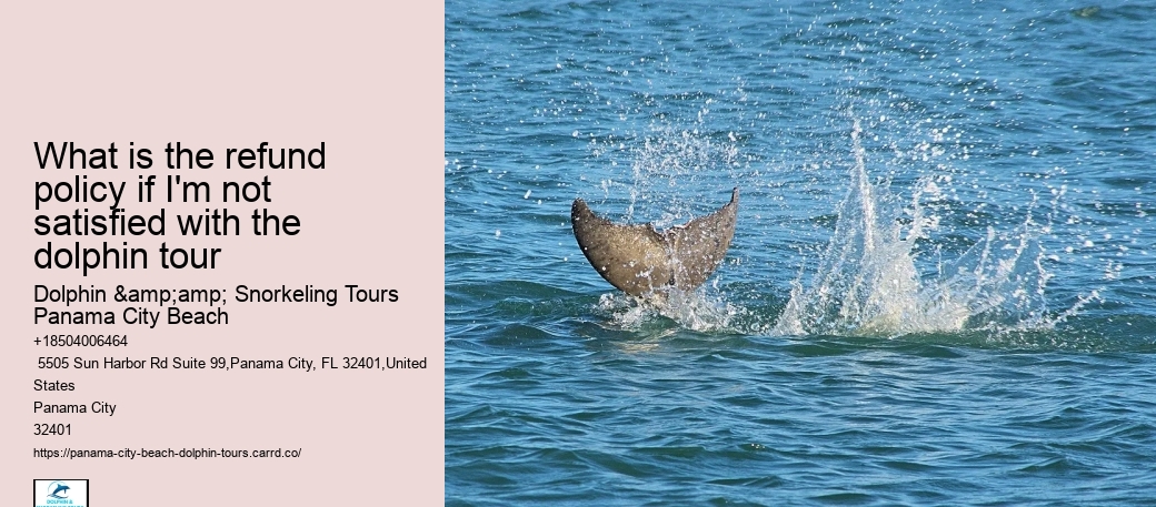 What is the refund policy if I'm not satisfied with the dolphin tour